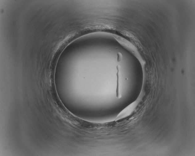 X0000070210395200605301407