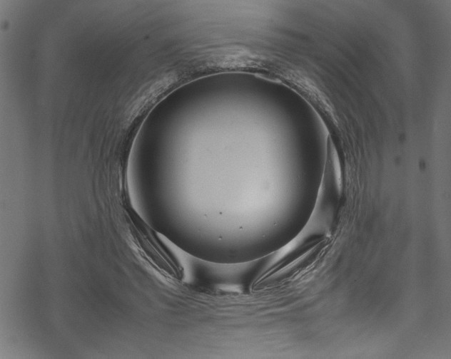 X0000070210397200605301407