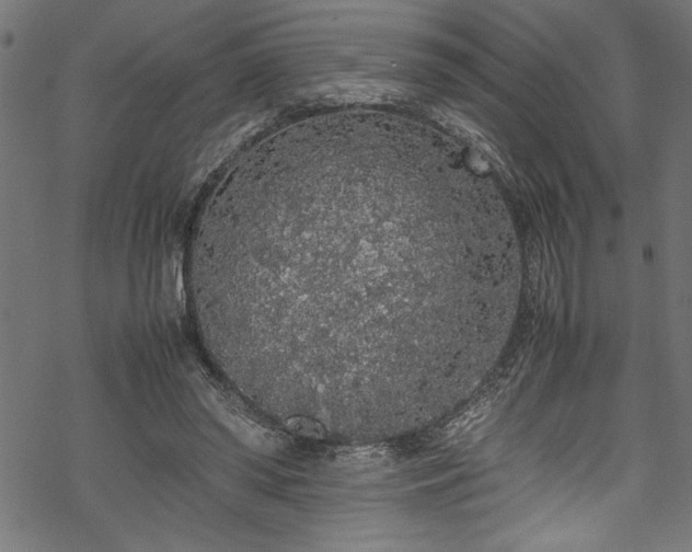 X0000070210398200605301407