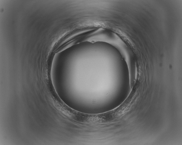 X0000070210399200605301407