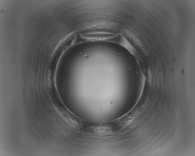 X0000070210400200605301407