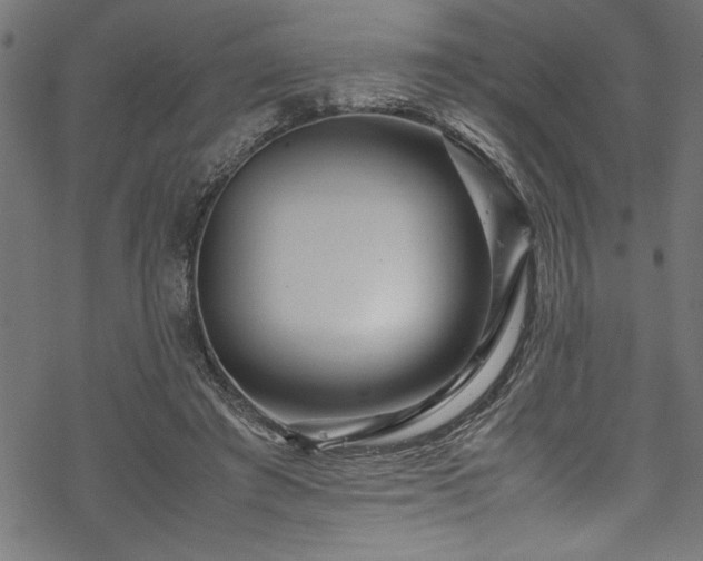 X0000070210401200605301407