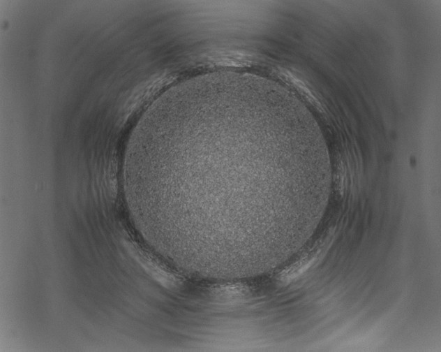 X0000070210402200605301407