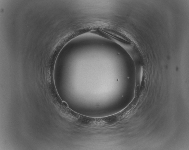 X0000070210403200605301407