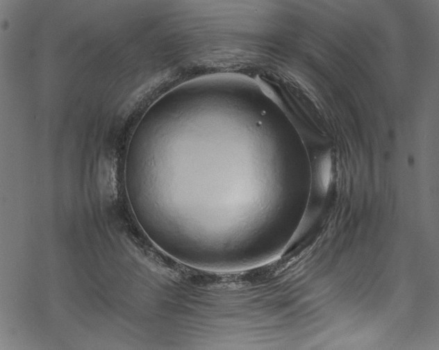 X0000070210404200605301407