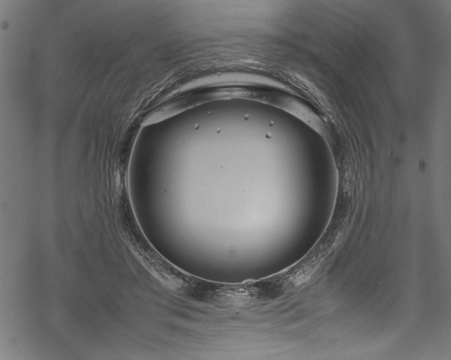 X0000070210405200605301407