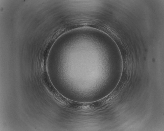 X0000070210406200605301407