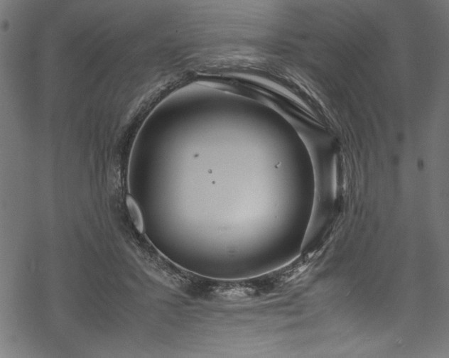 X0000070210407200605301407