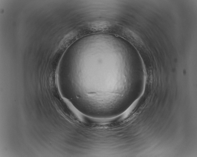 X0000070210408200605301407