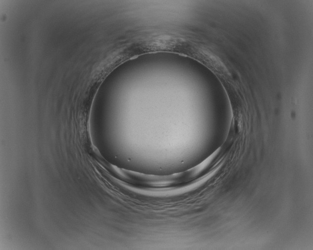 X0000070210409200605301407