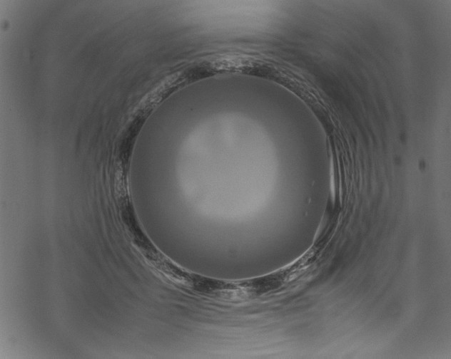 X0000070210411200605301407