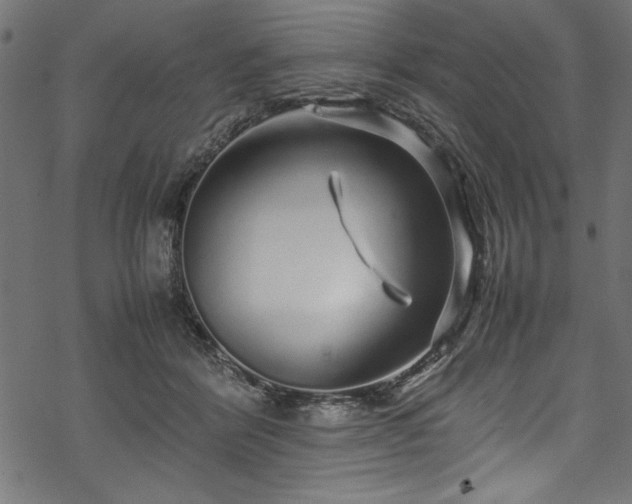 X0000070210412200605301407