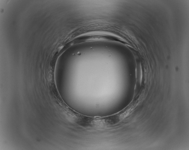 X0000070210413200605301407