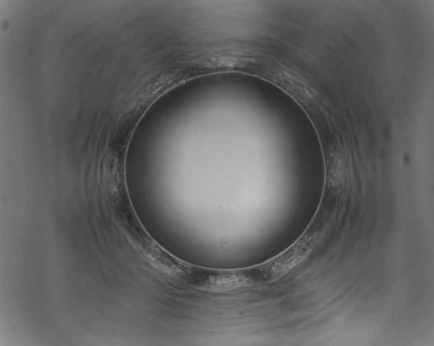 X0000070210414200605301407