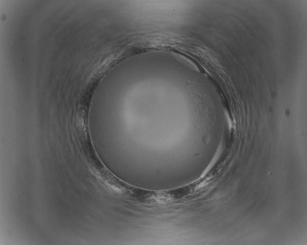 X0000070210415200605301407