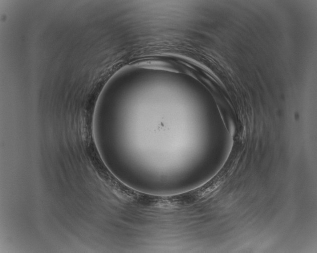 X0000070210416200605301407