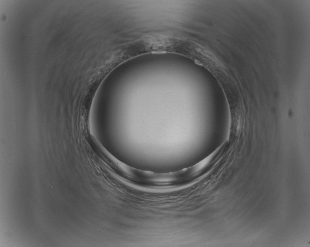 X0000070210417200605301407