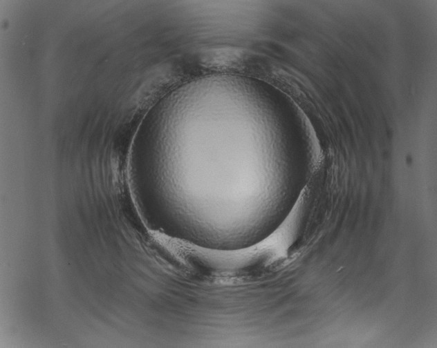 X0000070210420200605301407