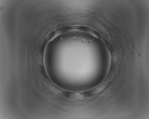 X0000070210421200605301407