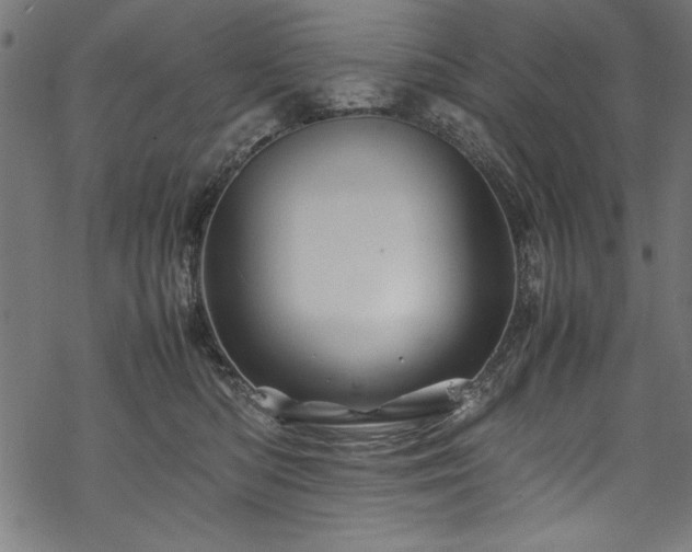 X0000070210422200605301407