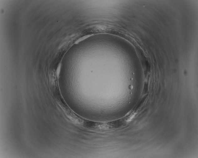 X0000070210423200605301407