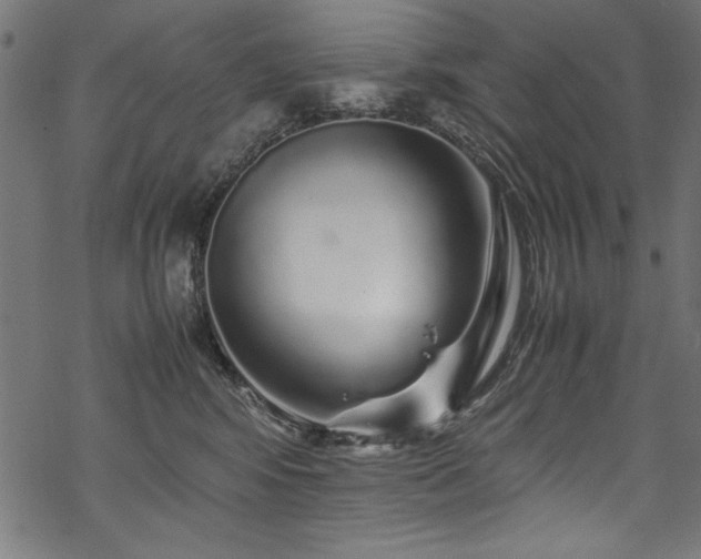 X0000070210424200605301407