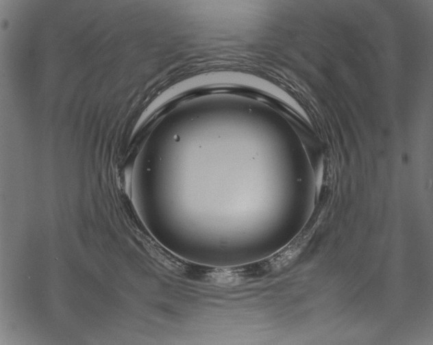 X0000070210425200605301407