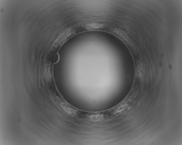 X0000070210426200605301407