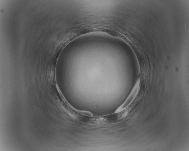 X0000070210427200605301407