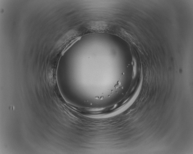 X0000070210428200605301407