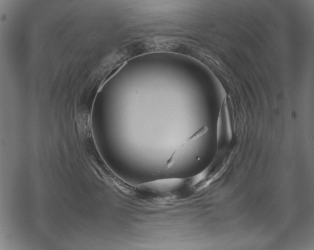 X0000070210429200605301407