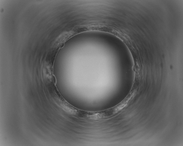 X0000070210430200605301407