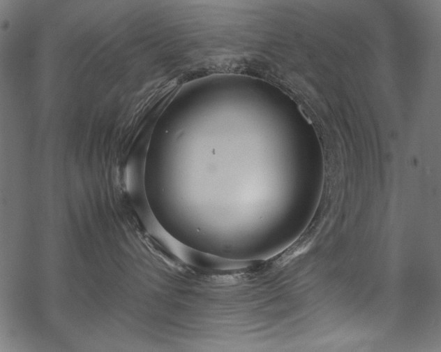 X0000070210432200605301407