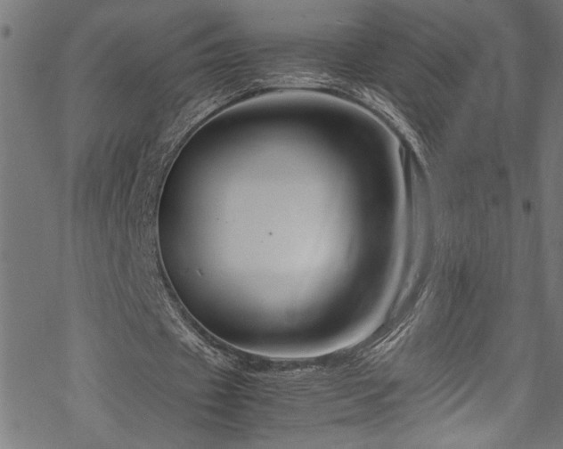 X0000070210433200605301406