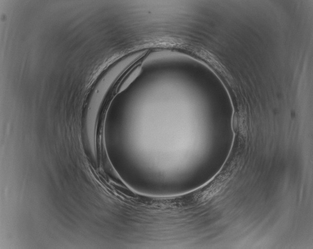 X0000070210434200605301406