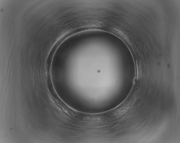 X0000070210435200605301406