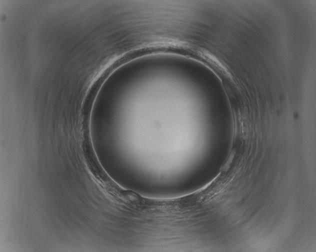 X0000070210436200605301406