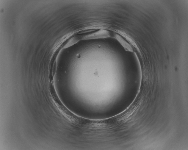 X0000070210437200605301406