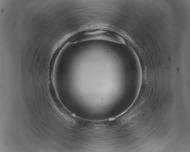 X0000070210438200605301406