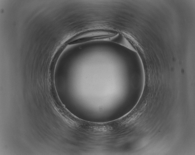 X0000070210439200605301406