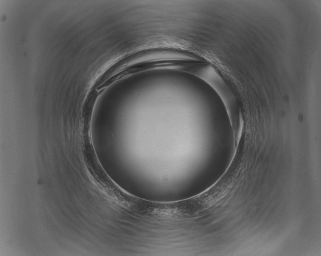 X0000070210440200605301406