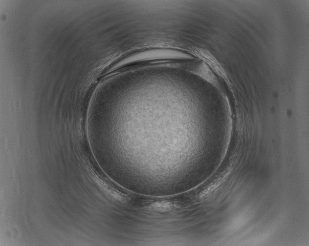 X0000070210441200605301406