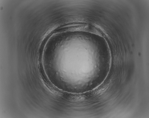 X0000070210443200605301406