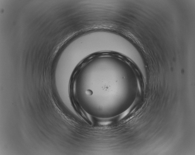 X0000070210444200605301406