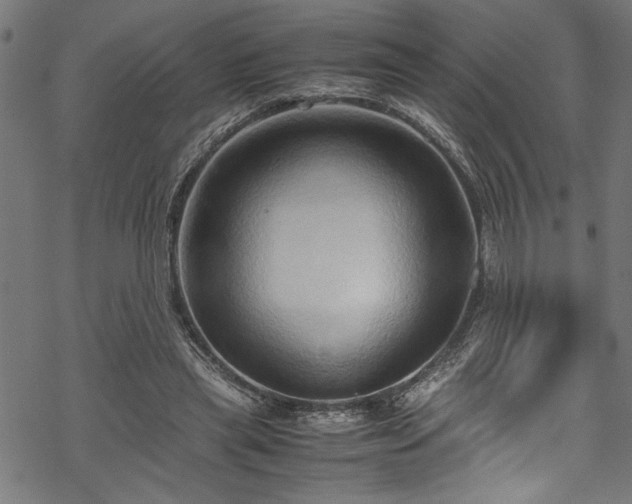 X0000070210445200605301406