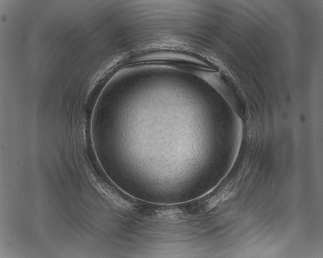 X0000070210446200605301406