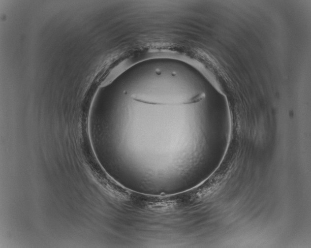 X0000070210447200605301406