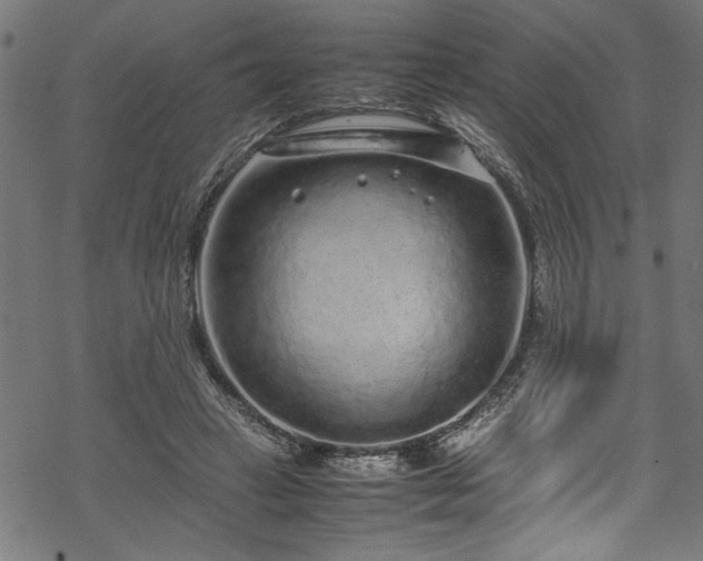 X0000070210449200605301406