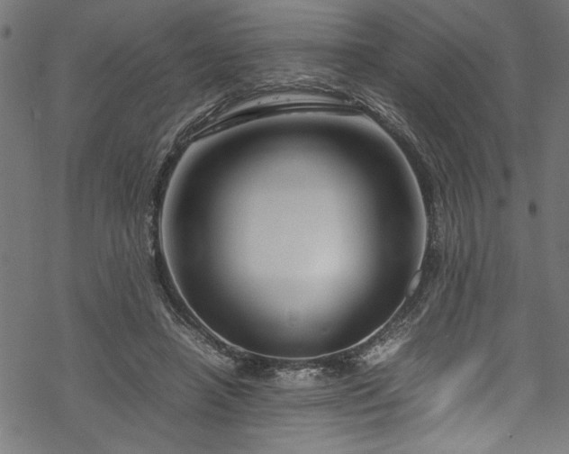 X0000070210450200605301406