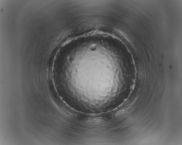 X0000070210451200605301406